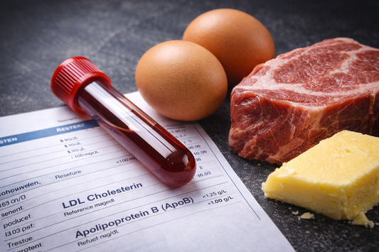 Fett getäuscht? Was uns unser Blut wirklich sagt